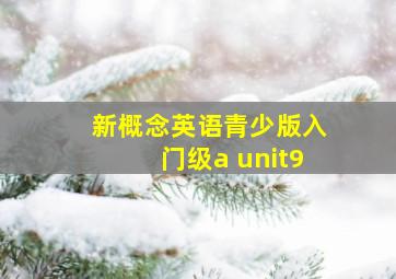 新概念英语青少版入门级a unit9